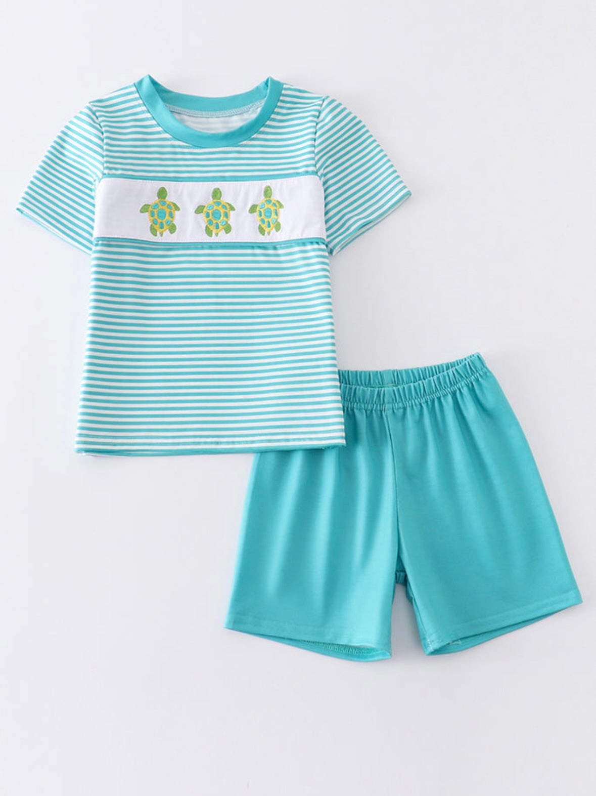 Boys Green Striped Turtle 2PC Set