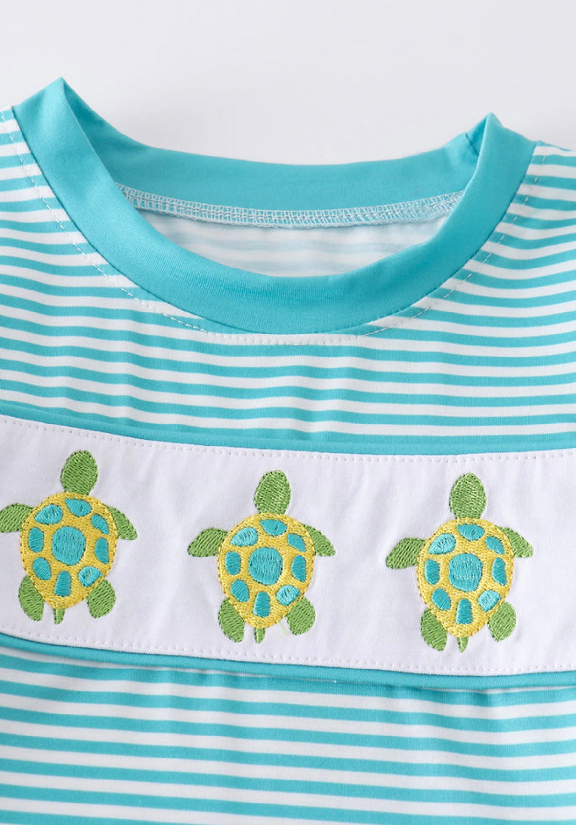 Boys Green Striped Turtle 2PC Set